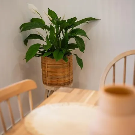 Lookout Nyaraló Nazaré